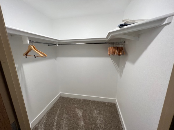 Apartment Suite, Non Smoking Photo 5